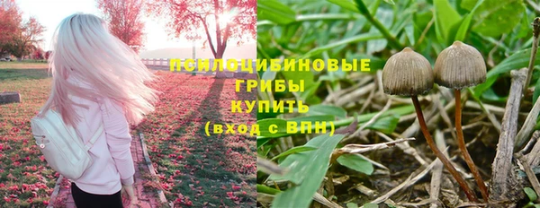индика Красноперекопск
