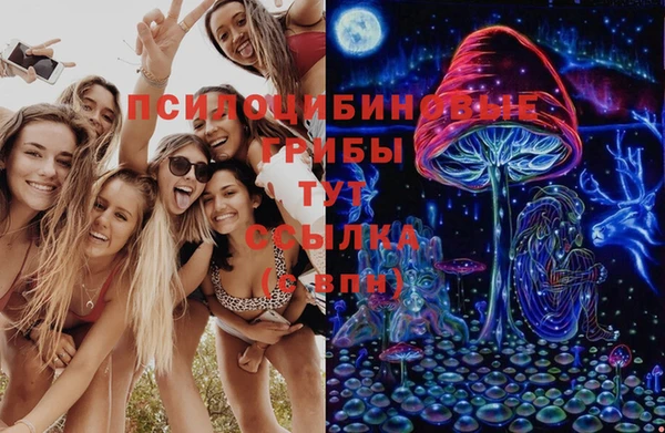 2c-b Кулебаки