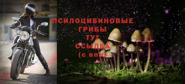 наркотики Богородицк
